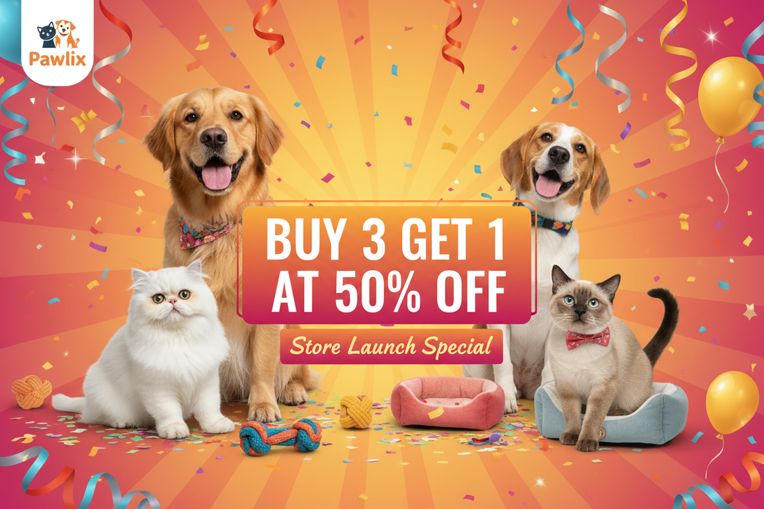 Store Launch Offer-Limited time