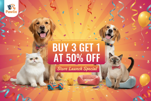 Store Launch Offer-Limited time