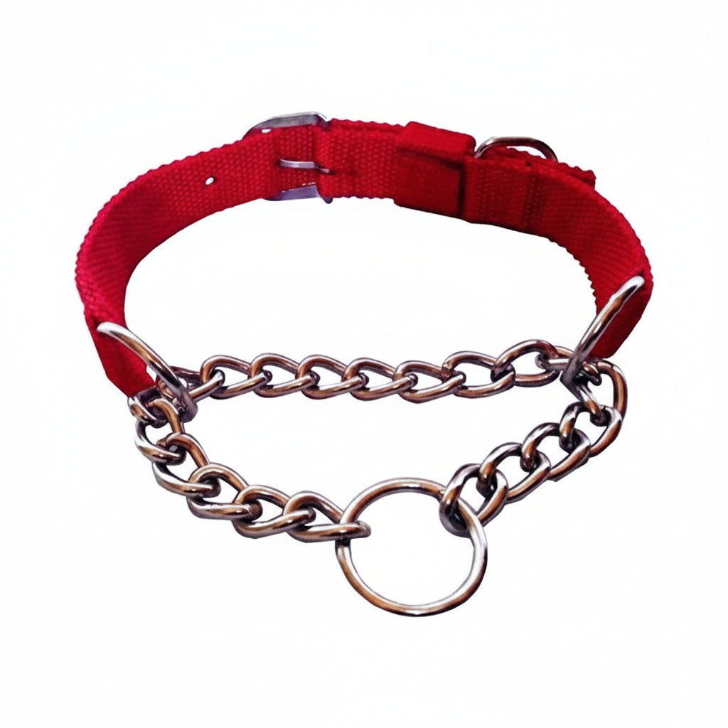 Dog Chain Collar – Small