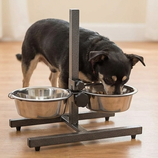 Stainless Steel Pet Feeding Bowl