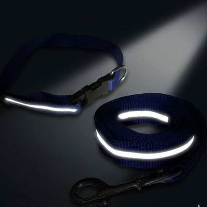 Dog Collar & 5 Ft Leash Set – 1 Inch