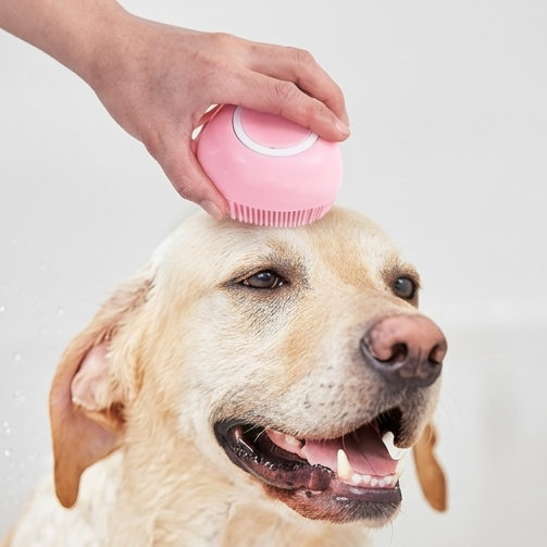 Silicone Massage Brush for Pet (Multicolor)