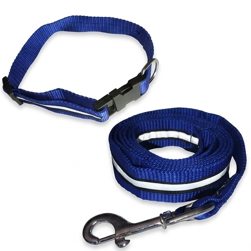 Dog Collar & 5 Ft Leash Set – 1 Inch