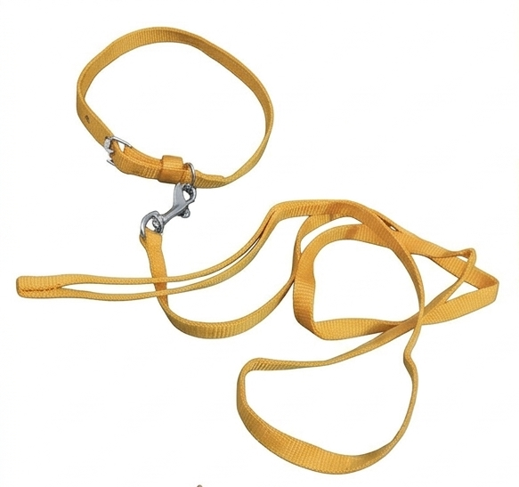 Dog Collar & 5 Ft Leash Set – Small
