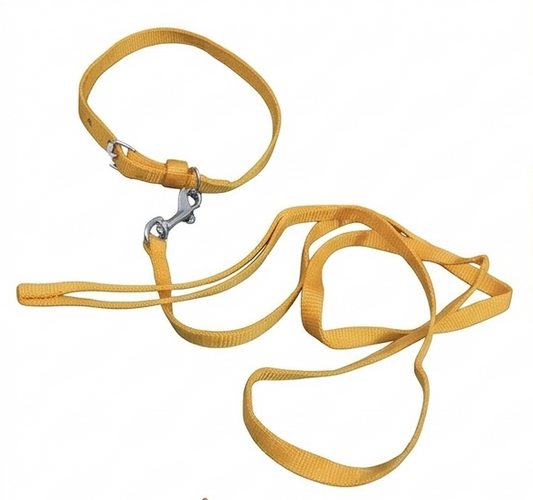 Dog Collar & 5 Ft Leash Set – Small