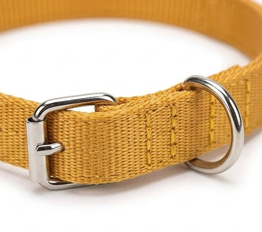 Dog Collar & 5 Ft Leash Set – Small