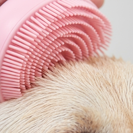 Silicone Massage Brush for Pet (Multicolor)