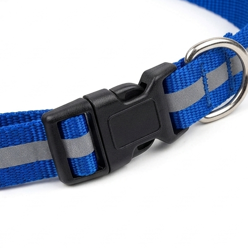 Dog Collar & 5 Ft Leash Set – 1 Inch
