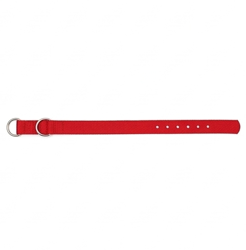 Dog Chain Collar – Small